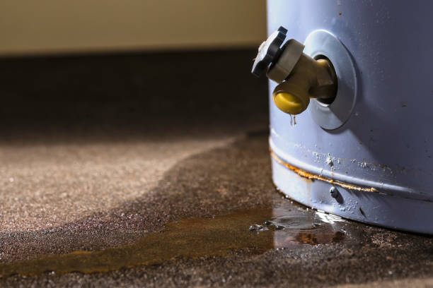 Best Residential water damage restoration  in Lower Lake, CA