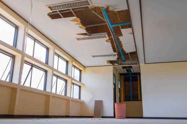 Best Flood damage cleanup  in Lower Lake, CA