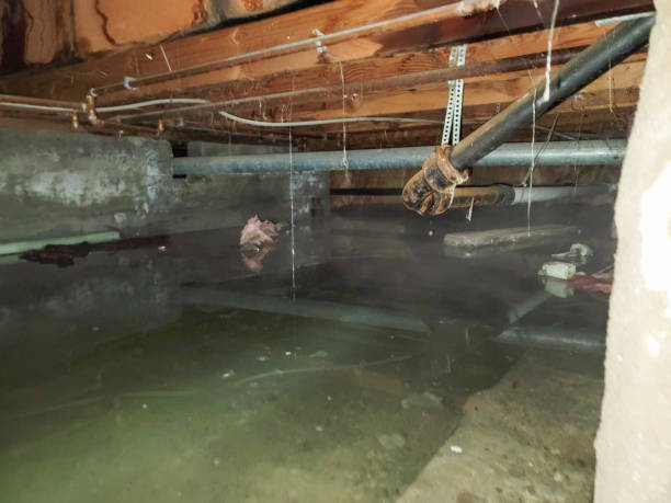 Best Emergency water damage restoration  in Lower Lake, CA