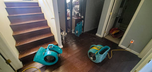 Best Professional water damage repair  in Lower Lake, CA
