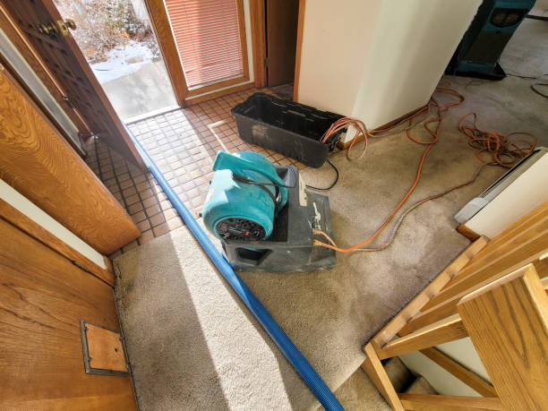 Best Fire Damage Restoration  in Lower Lake, CA