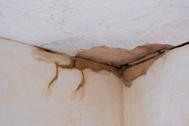 Best Water damage restoration mold remediation  in Lower Lake, CA