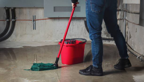  Lower Lake, CA Water damage restoration Pros
