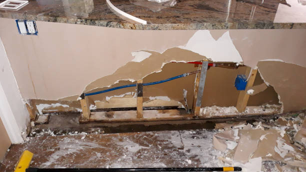 Best Water damage contractors near me  in Lower Lake, CA
