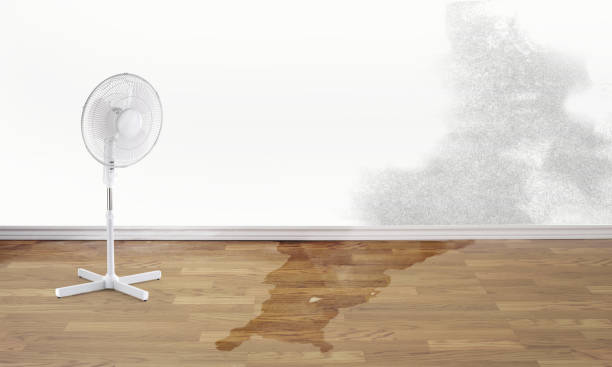Best Water damage restoration near me  in Lower Lake, CA