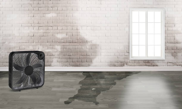 Best Water damage restoration company  in Lower Lake, CA