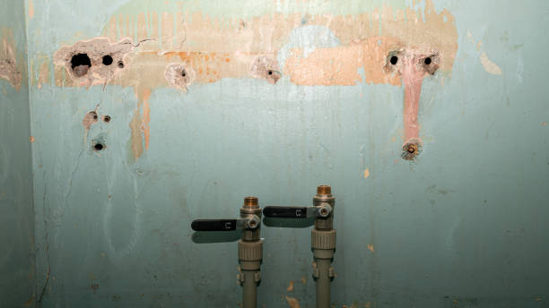 Best Water damage restoration services  in Lower Lake, CA