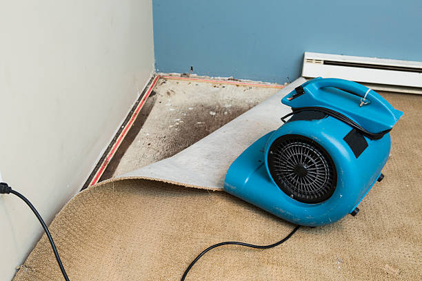 Professional Water damage restoration in Lower Lake, CA